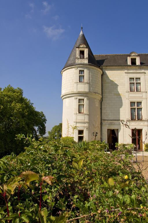 Chateau De Chissay, Hotel De Charme Pres De Chenonceau Et Le Zoo De Beauval Buitenkant foto