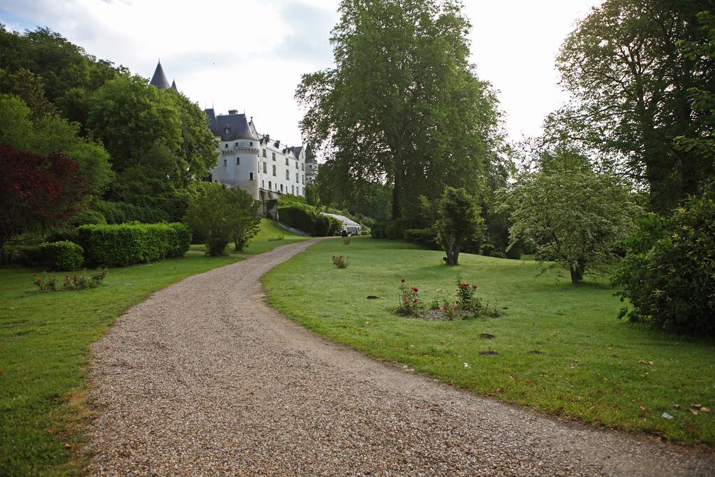 Chateau De Chissay, Hotel De Charme Pres De Chenonceau Et Le Zoo De Beauval Buitenkant foto